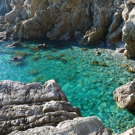 Il Cuore Di Moneglia - Moneglia Apartments ภายนอก รูปภาพ