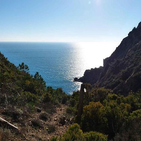 Il Cuore Di Moneglia - Moneglia Apartments ภายนอก รูปภาพ