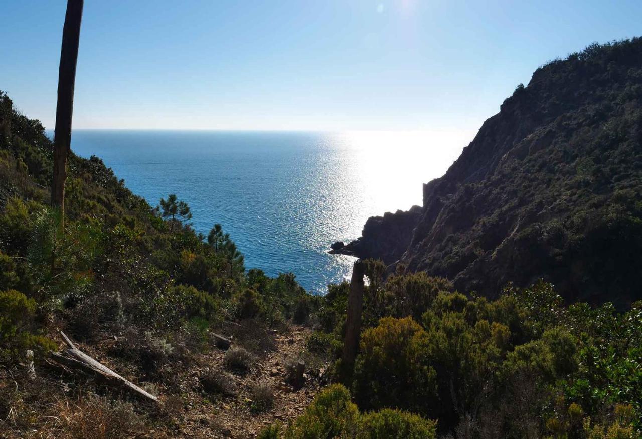 Il Cuore Di Moneglia - Moneglia Apartments ภายนอก รูปภาพ
